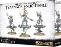 TZAANGOR ENLIGHTENED