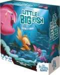 LITTLE BIG FISH