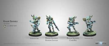 KAAURI SENTINELS RIFLE/B. SHOT