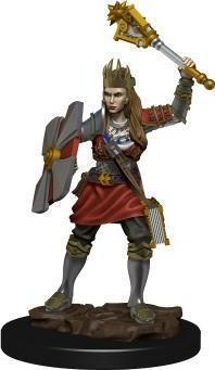 HUMAN CLERIC FEMALE (D&D Icons of the Realms Premium Figures)