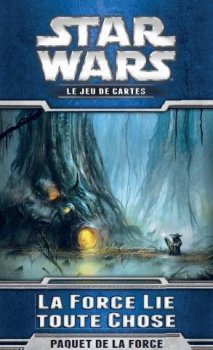 LA FORCE LIE TOUTE CHOSE