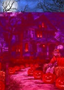 PUZZLE 40 SPOOKY HOUSE