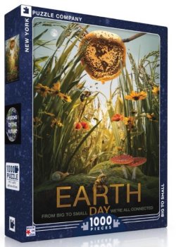 1000P VISIONS OF THE FUTURE - BIG TO SMALL