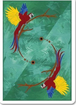 cardistry INFINITY 2