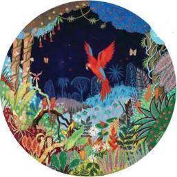 500P ARA NOCTURNE THOMAS