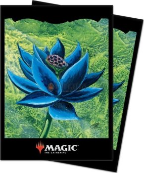 100 Proteges cartes Lotus Noir