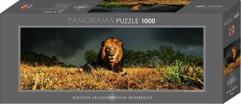 PUZZLE 1000 PIECES PANORAMA LION