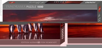 1000P PINGOUINS ROIS