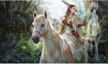 TAPIS COUNSEL OF THE FAE