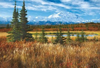 PARC NAT. DE DENALI 1500 PCS