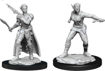 Shifter Rogue Female - D&D Nolzur’s Marvelous Miniatures