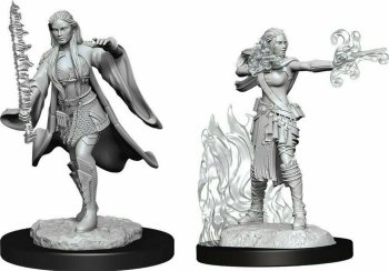 Multiclass Warlock + Sorcerer Female - D&D Nolzur’s Marvelous Miniatures