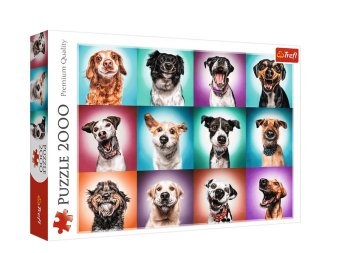 2000P FUNNY DOG PORTRAITS II