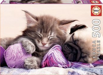 500P COMPAGNONS DE REVES