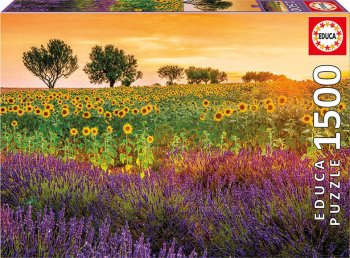 1500P CHAMPS TOURNESOL & LAVANDE