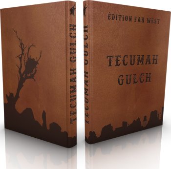 TECUMAH GULCH COLLECTOR