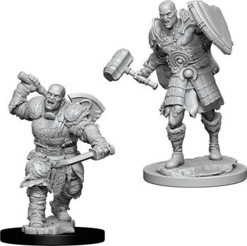 Male Goliath Fighter - D&D Nolzur’s Marvelous Miniatures
