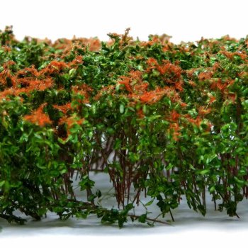 ARBUSTES MARRON ET VERT GSW