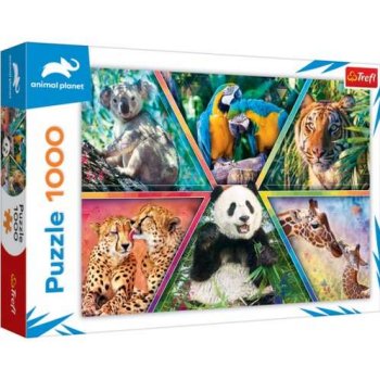 1000P ROYAUME DES ANIMAUX