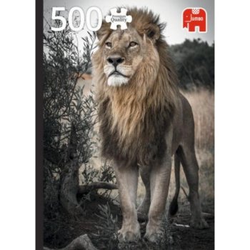 500P PROUD LION